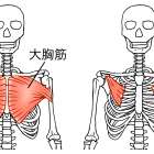 刈谷駅近くの整体院がおススメする　肩こりストレッチ　【大胸筋】